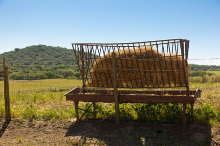 Hay feeder filled with straw in a rural pasture under a clear bl